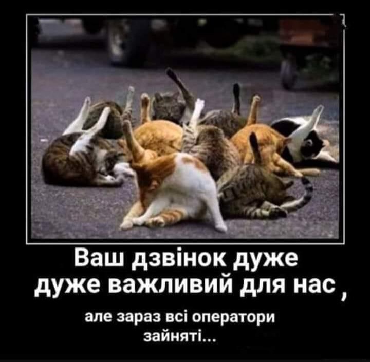 IMG-11ba2ba589a954df9f1bdae8ca5cf61d-V.jpg