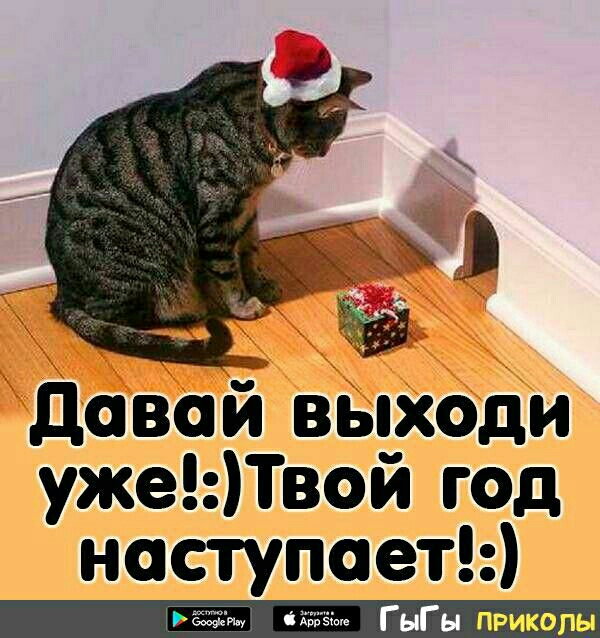 IMG-11f37786caa7b5c2e8779bac9bbf8ead-V.jpg