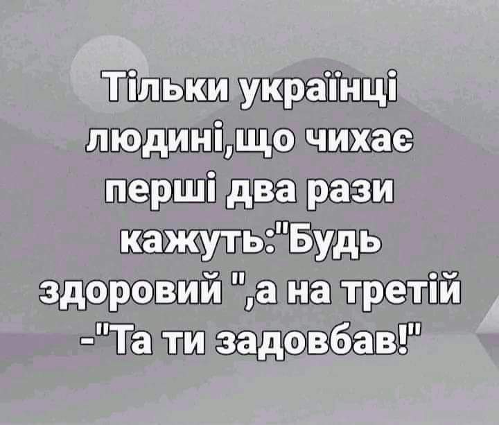 IMG-13237e239802d8d6755ab8c5d1a0bf0c-V.jpg
