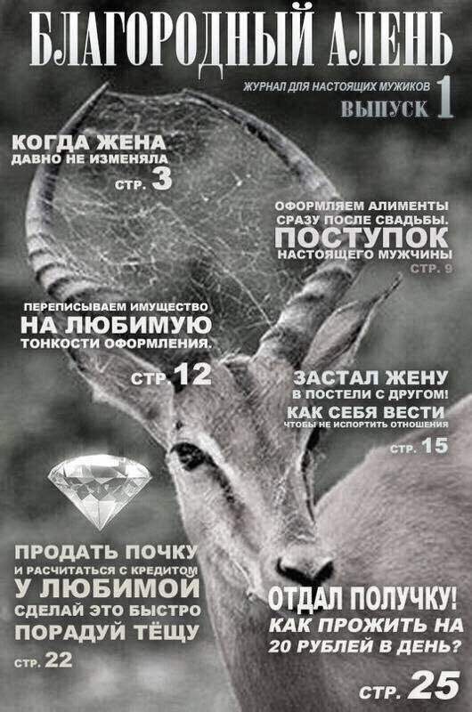 IMG-15b3fe2c6bafc9024031e2a1a3183315-V.jpg