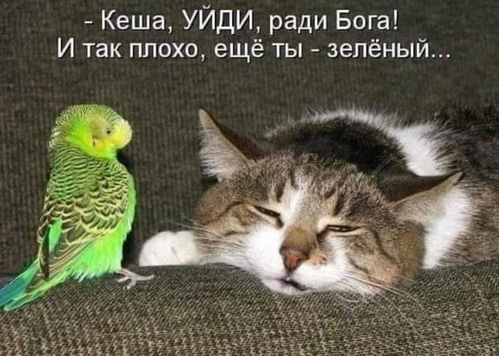 IMG-161a8263eb768f5df88b061128c8d6fe-V.jpg