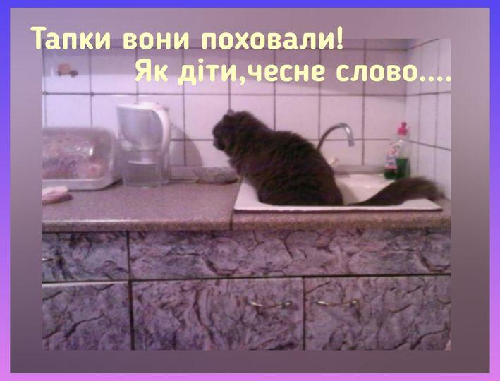 IMG-1a2c1a55d8900b5110adf0fb7bfb214e-V.jpg