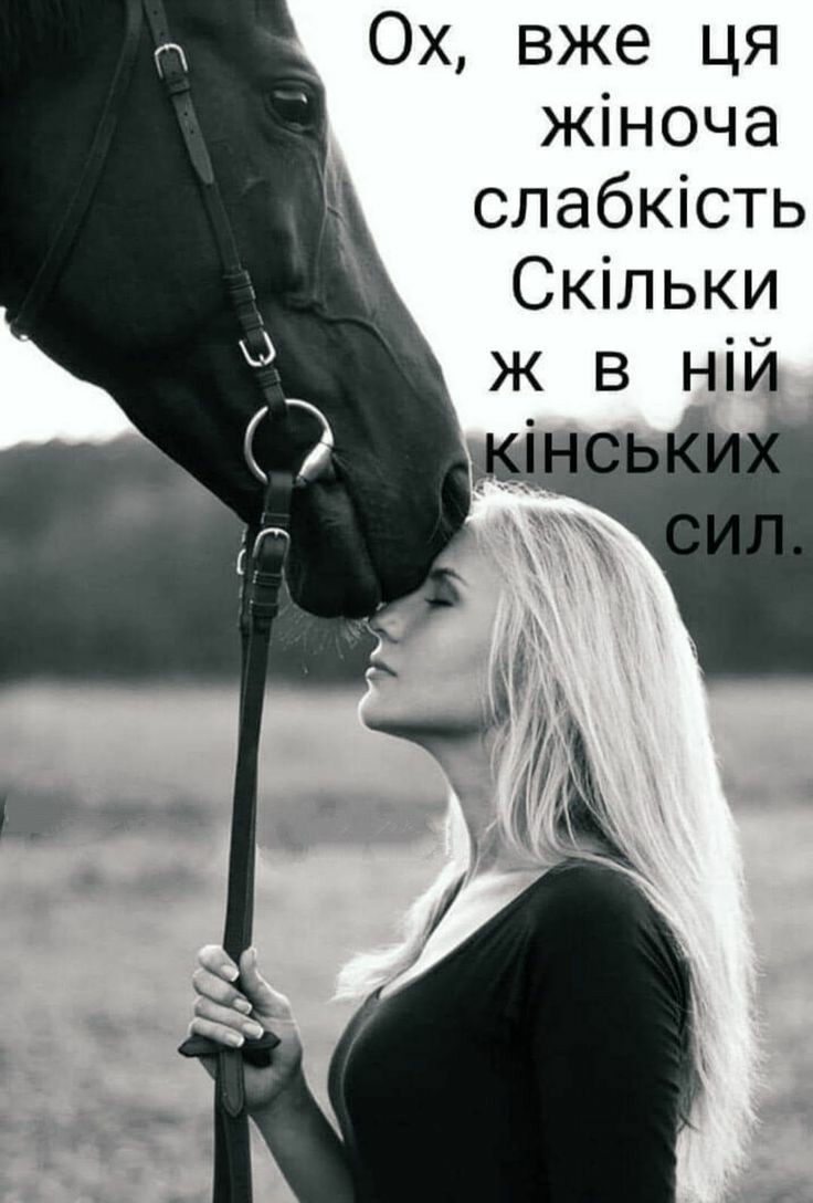IMG-1ae0ce1f27bf08e87f206059ee7f0be6-V.jpg