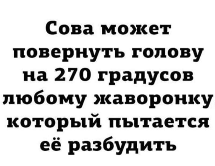 IMG-1aff497b858333fcd51eade15ff3cf11-V.png