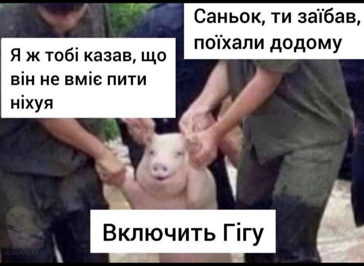 IMG-1b7c1e0cd46c298acd0fcf46afcd7f3b-V.jpg