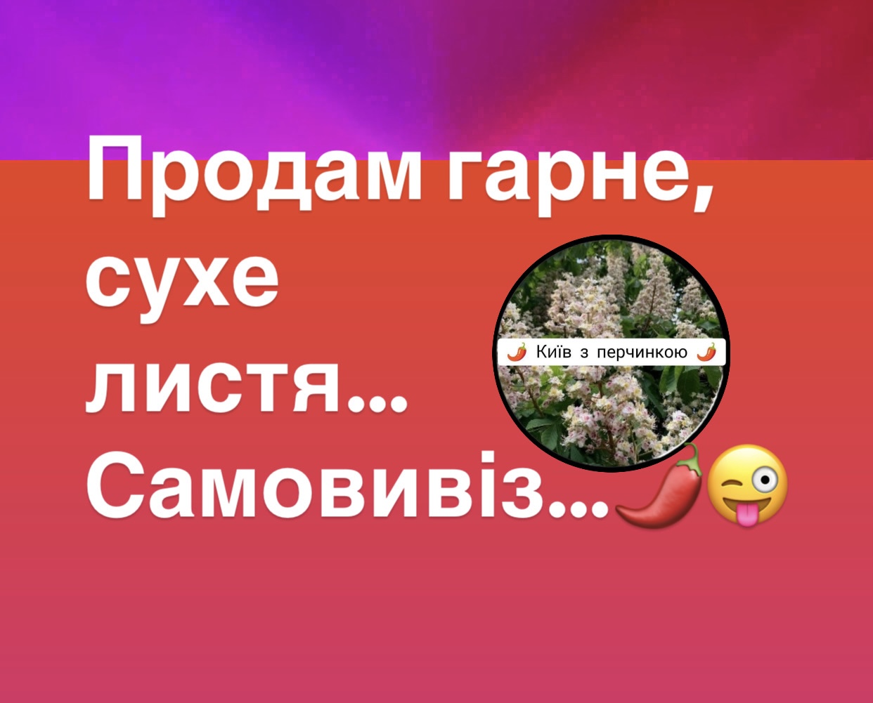 IMG-1fadf855af81b72a2c2f6dafac984c8c-V.jpg