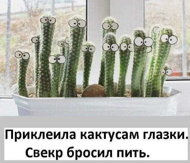 IMG-1ff1f6d244d62f553ad91f41572c8b8c-V.jpg