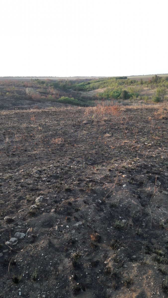 IMG-20170909-WA0001.jpeg