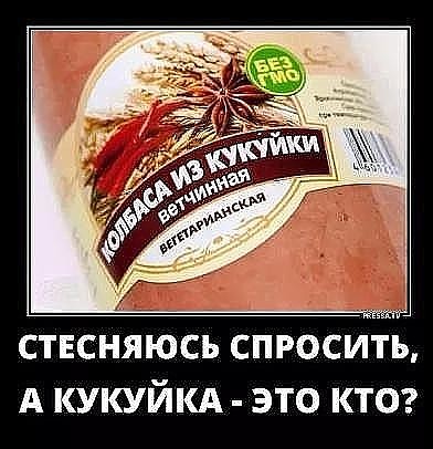 IMG-20180427-WA0063.jpg