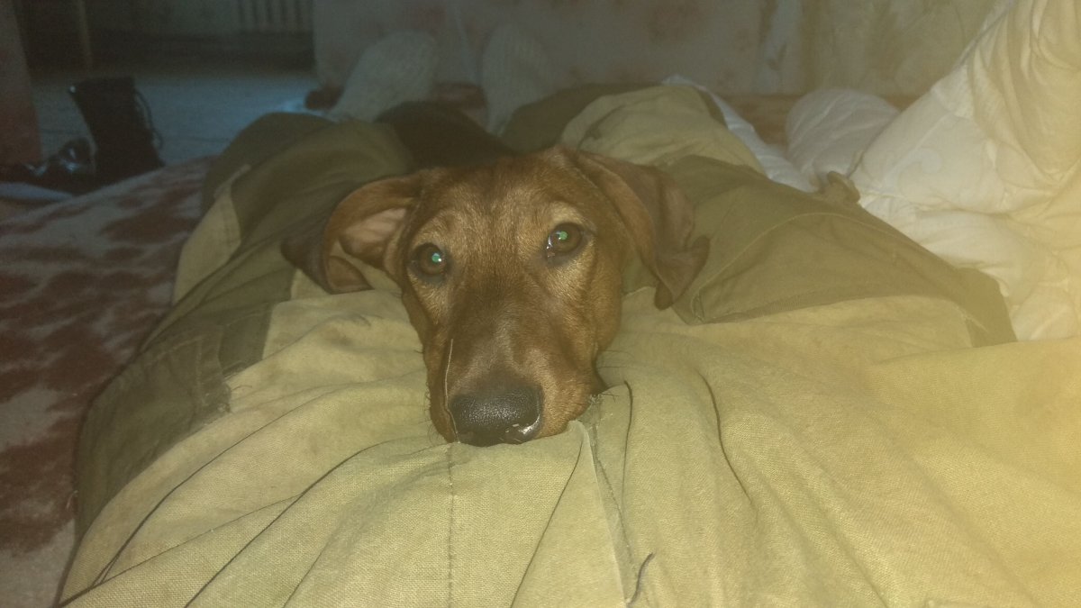 IMG-20190119-WA0001.jpeg