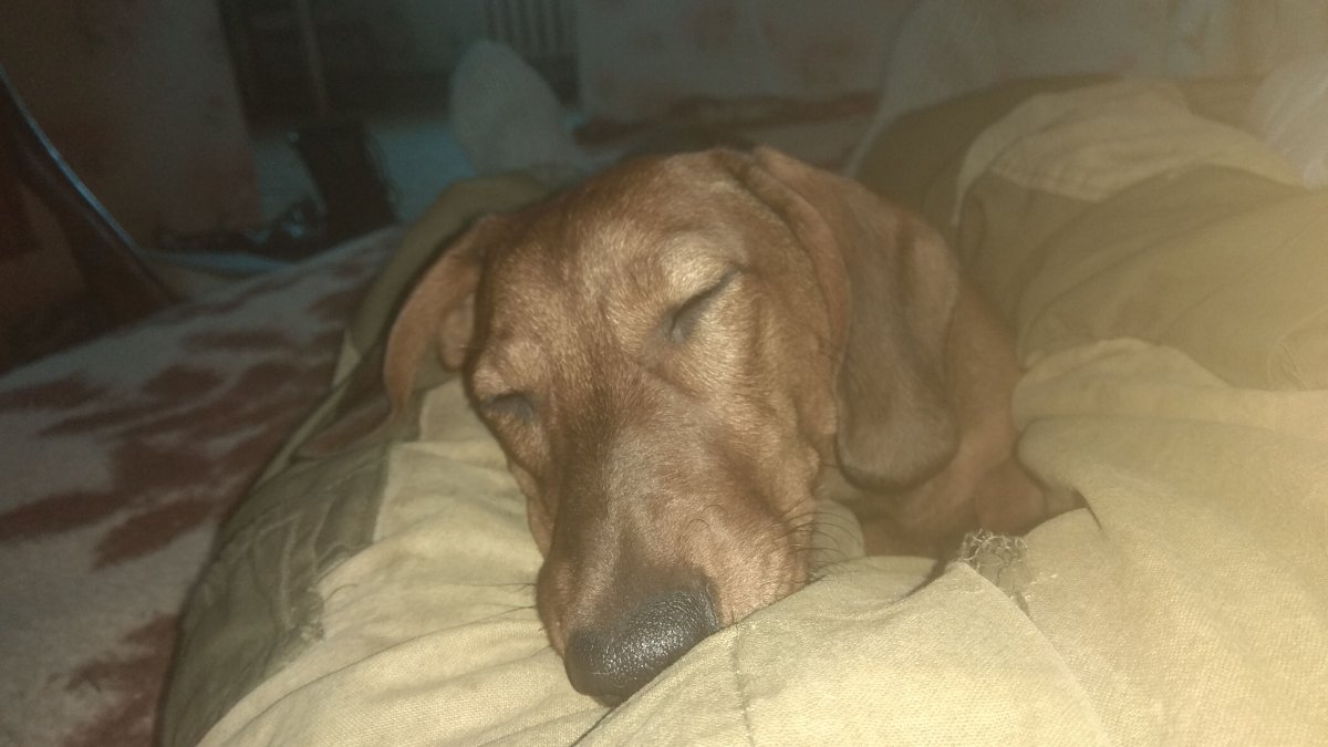 IMG-20190119-WA0004.jpeg