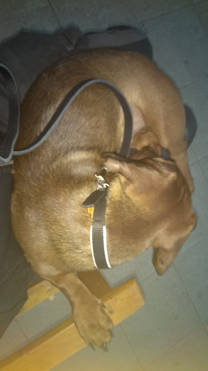 IMG-20190125-WA0002.jpeg