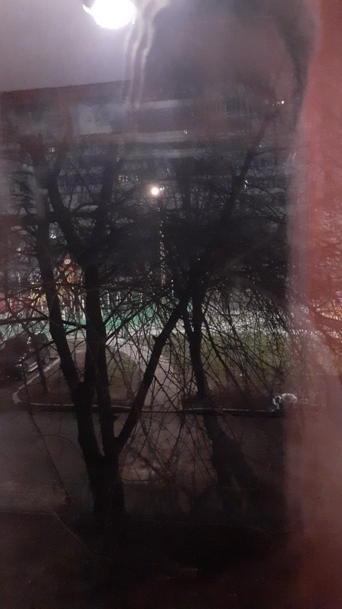 IMG-20211122-WA0000.jpeg