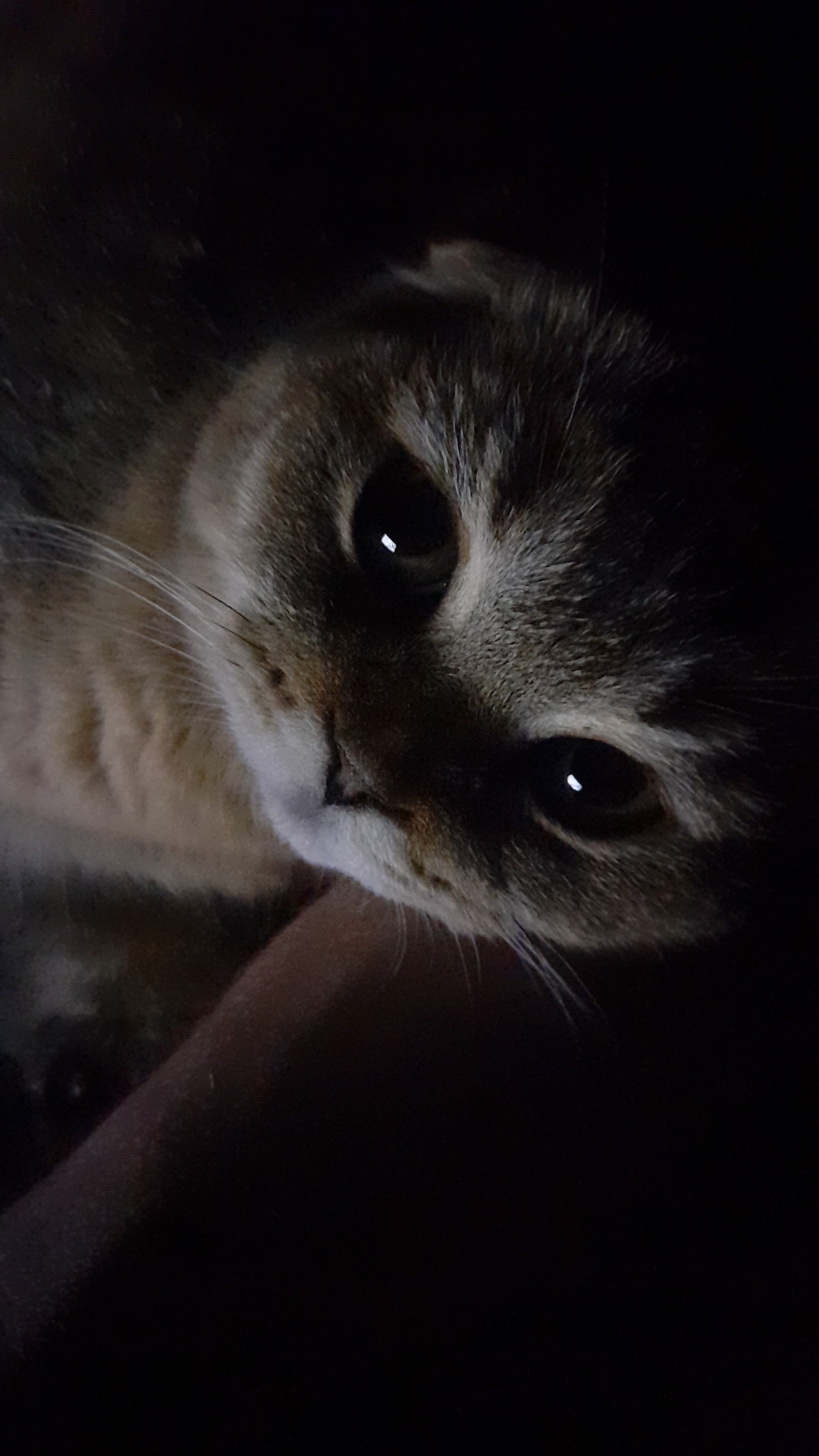IMG-20250316-WA0014.jpeg