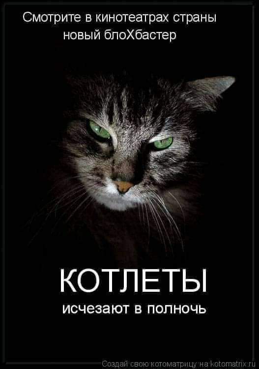 IMG-224f3bd4b2d83a355dd83924c5b6ffb3-V.jpg