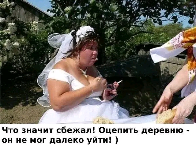IMG-24e3f669eb93cdb6a6db52a99a4a4a8b-V.jpg