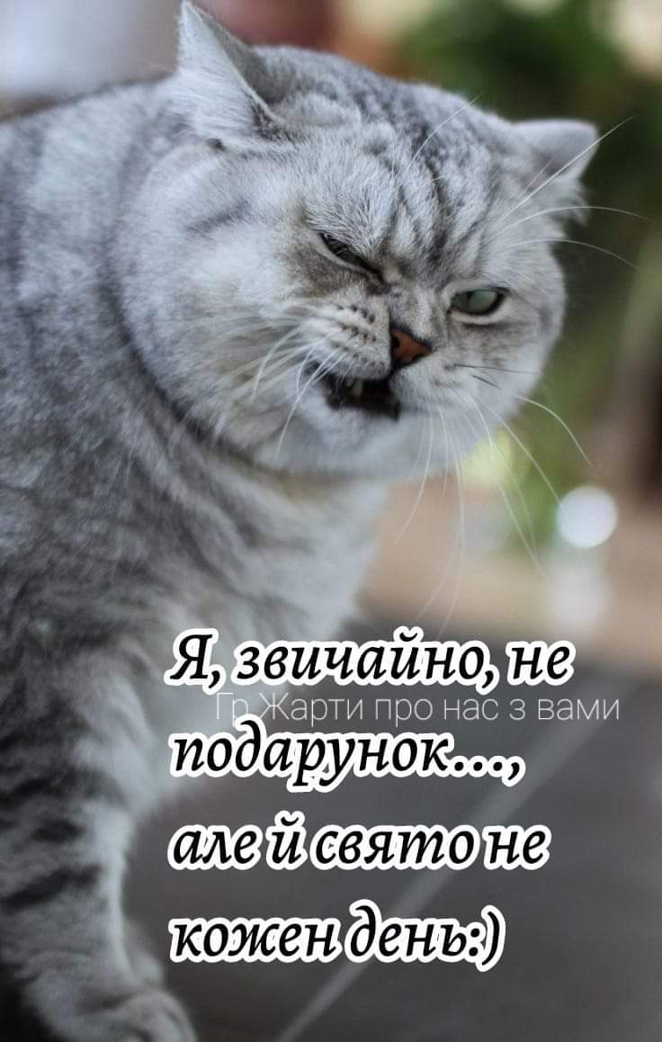 IMG-28921f9bd99a0850e11a1cbceb2827f3-V.jpg