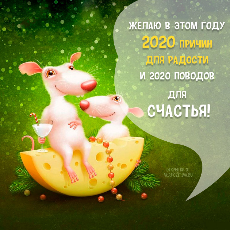 IMG-29658a73a9e4a8d3a0e0266e69734e50-V.jpg