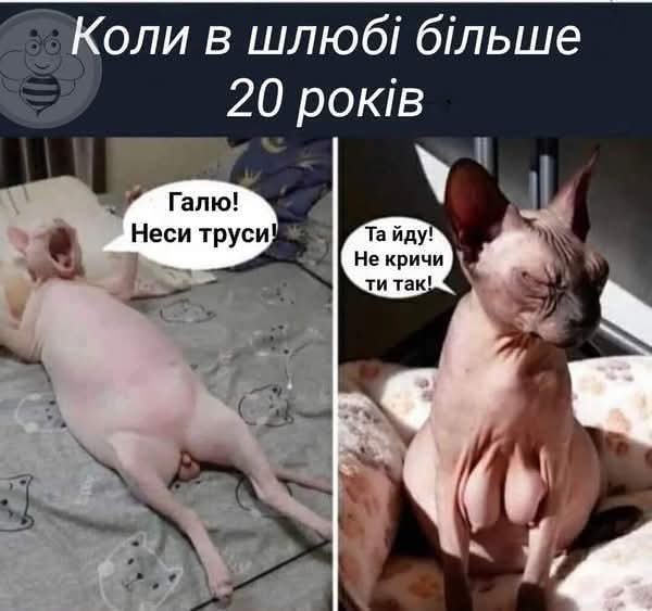 IMG-2af8b0d3be53cb90b355662c7e4f5f99-V.jpg
