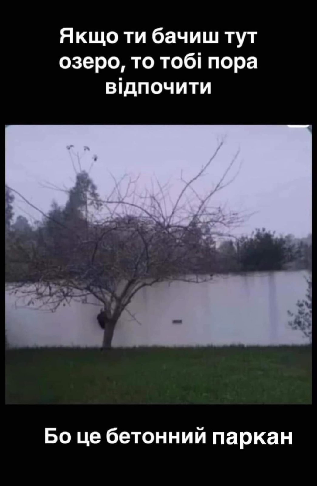 IMG-2d693ee64e4559b7359e20a73dd0cc09-V.jpg