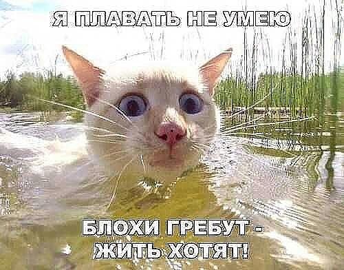 IMG-2f5d302a9cc8d146059a9ab9dd3ed691-V.jpg