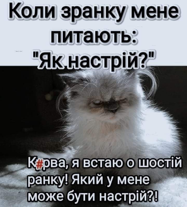 IMG-3009a5b5a0dbae3710841b791657e128-V.jpg