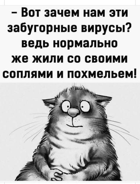 IMG-31d0eadf9ff2903d85dbfab584f96b16-V.jpg