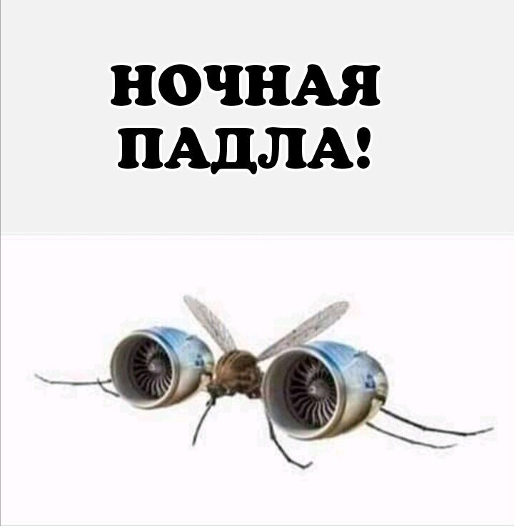 IMG-336dc6c139f9fcd456d8584a4f9a659e-V.jpg