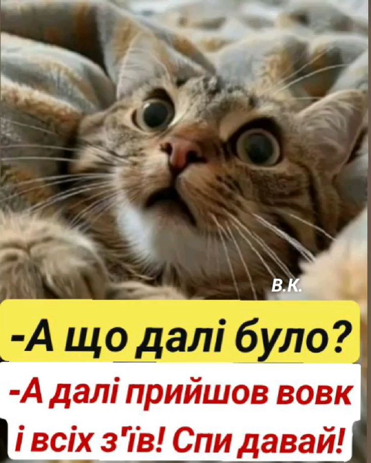 IMG-337b3d506e4dd2a43a1a756488d91ece-V.jpg