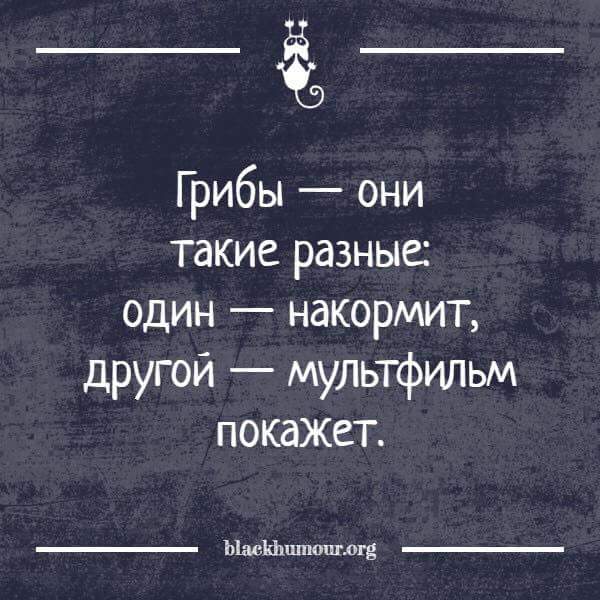 IMG-36f2a3e626e46751bcc0fe04557ef111-V.jpg