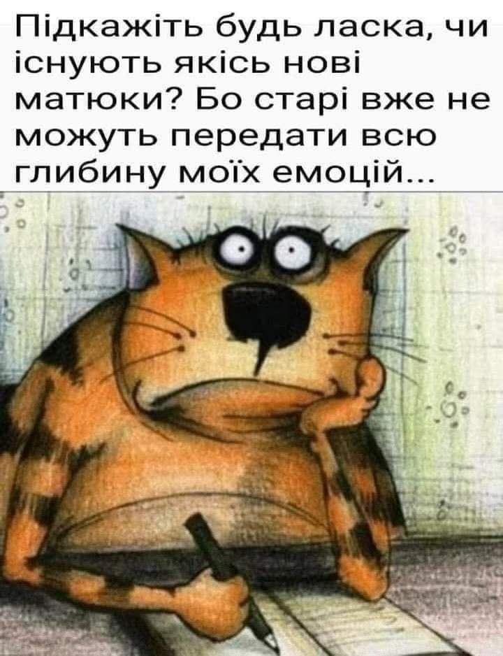 IMG-3af4de184c24e2b33e84d7862fedfa8b-V.jpg