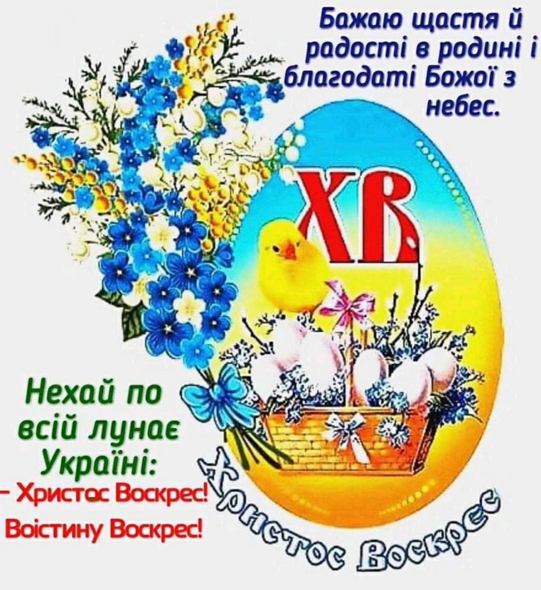 IMG-3b8bf705cc6ffbd17c743c1022e7495b-V.jpg