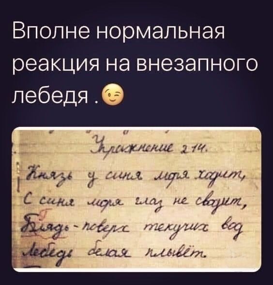 IMG-3c7ee1d6ea47a96a833db8c9021018cb-V.jpg
