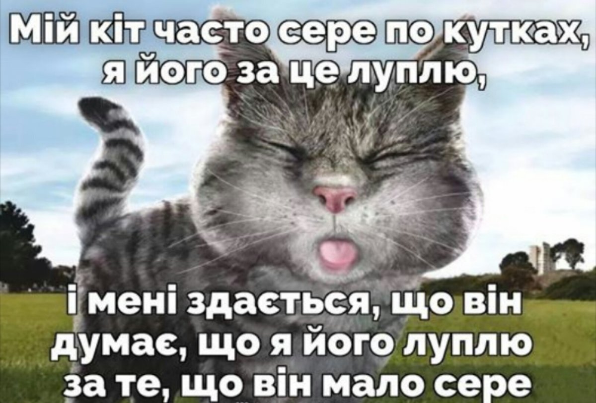 IMG-3e22cb9e9d2d6648fa817aacefaff373-V.jpg