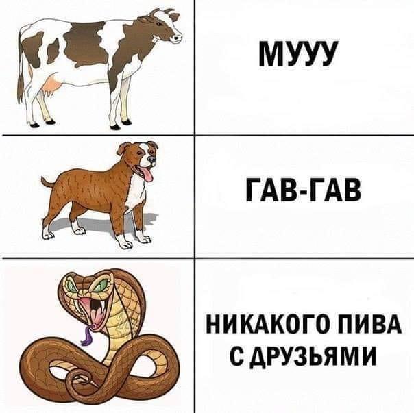IMG-442a1ba1d8f537abc8ed0abd47e164c9-V.jpg