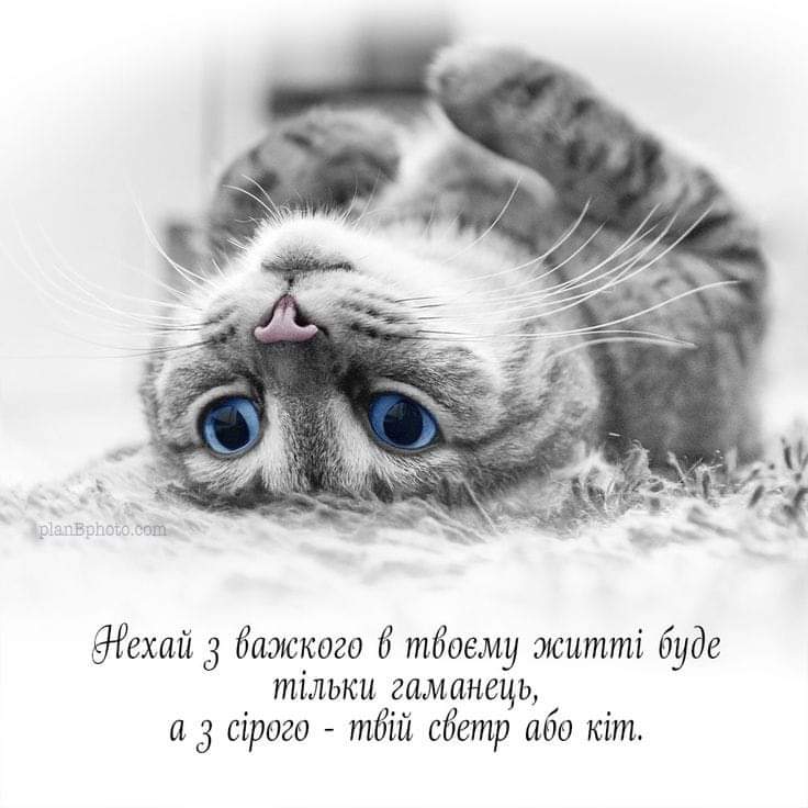 IMG-47bee3346e2edbc88e086908d9c24f80-V.jpg