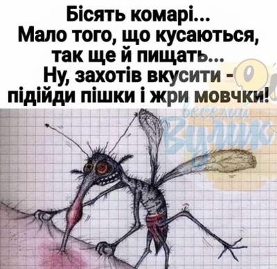 IMG-481962caaeeffe664e5a34598aab4bdd-V.jpg