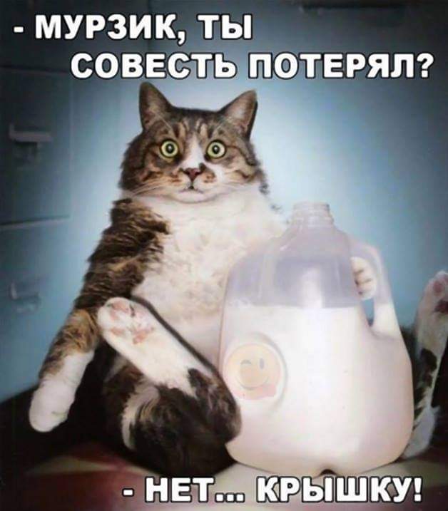 IMG-4945d74d78e826f79c831141da6bdec0-V.jpg