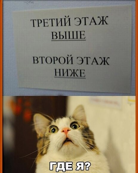 IMG-4a0275648cb3750eb02de81a2336b32e-V.jpg