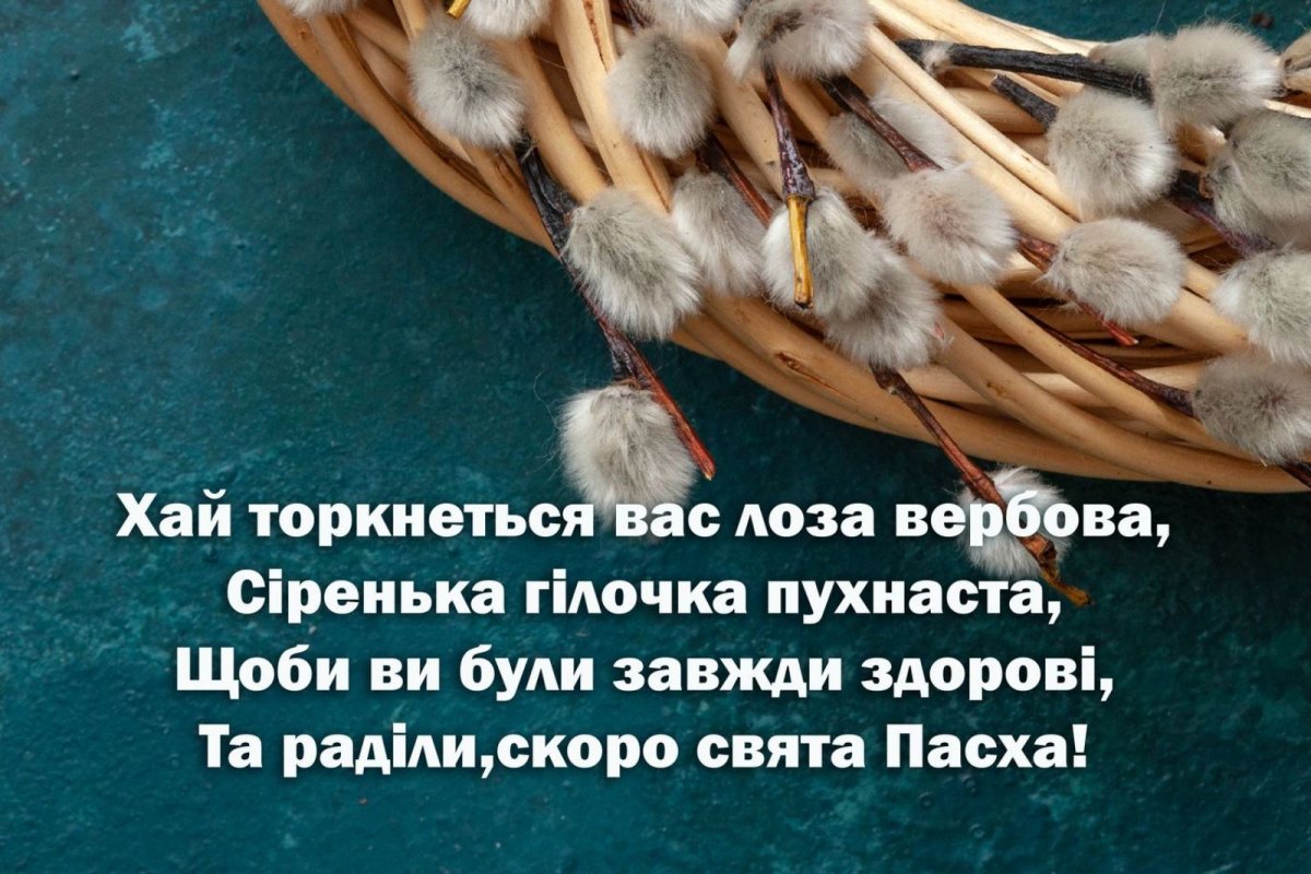 IMG-4b528ce7783adfc52f33957a854737b1-V.jpg