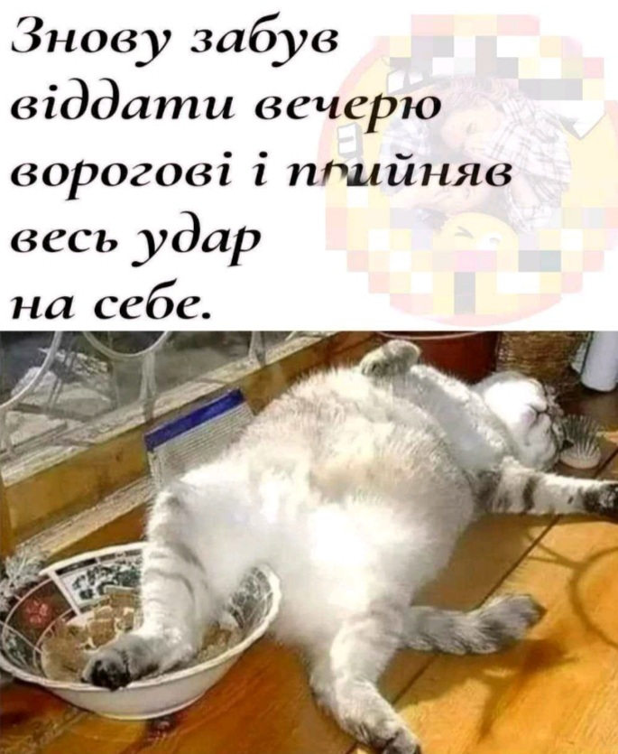 IMG-4c3add6b743d7ad01d6f8dceb2e56e49-V.jpg