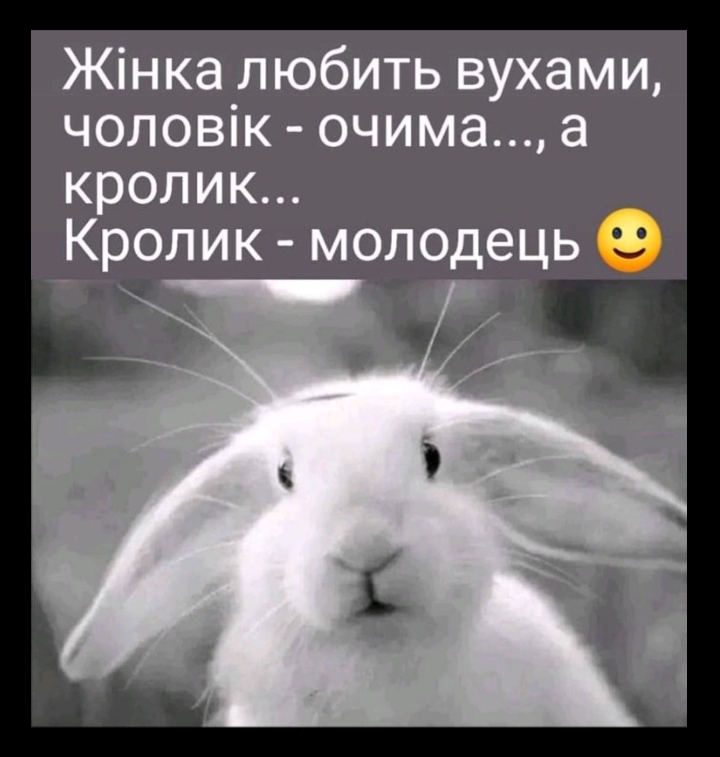 IMG-4ea1d42582f0a7cb64288646a20e0361-V.jpg