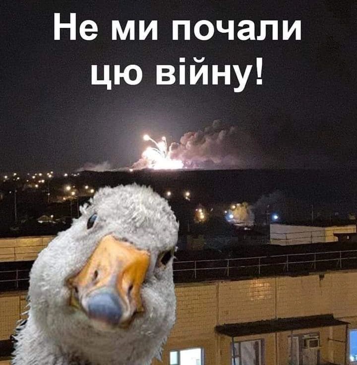 IMG-4eb84c5cd8476bb5c8e1938871797ede-V.jpg