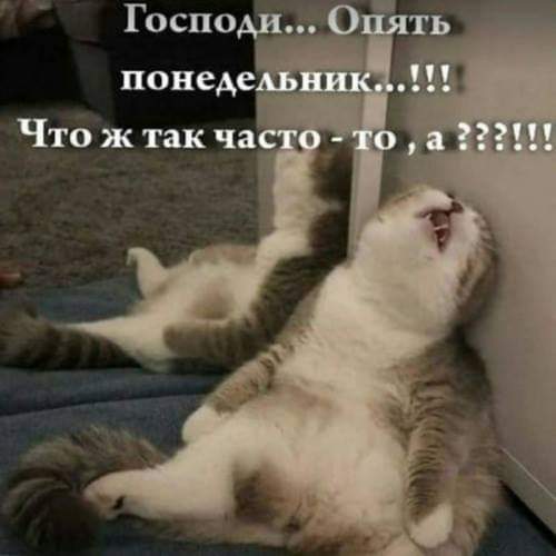 IMG-507afb9feeebdc70c4170e962545c6a8-V.jpg