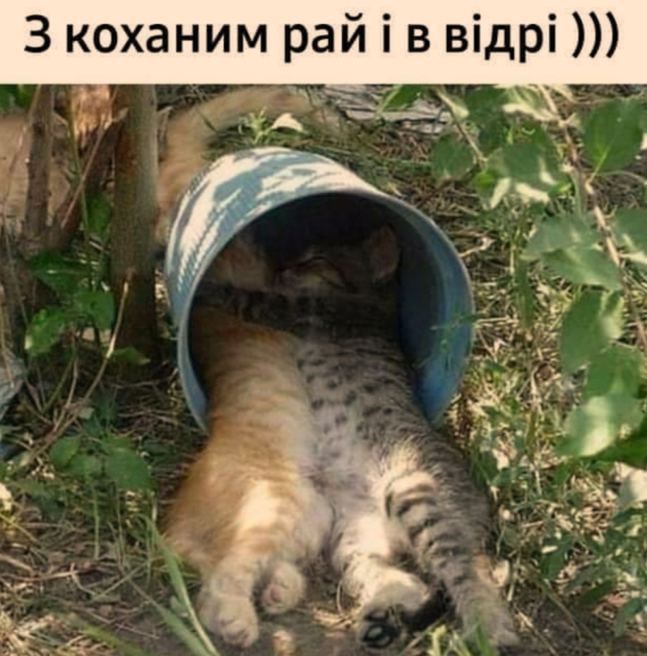 IMG-5103c675b9512553038e81c7d7983c40-V.jpg