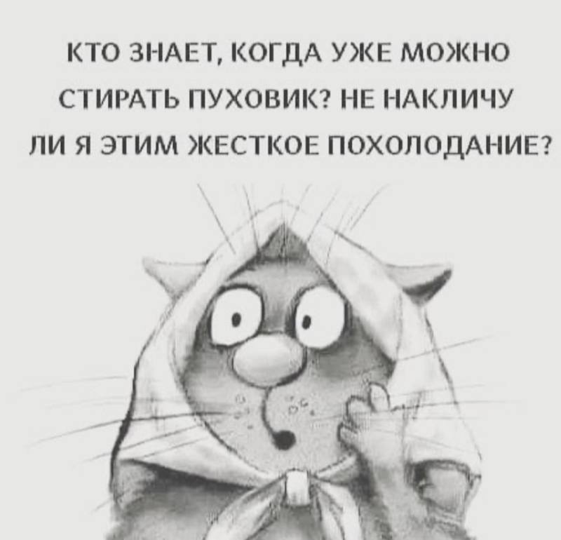 IMG-56cdd9ff8626194a8e5171d9c6614752-V.jpg