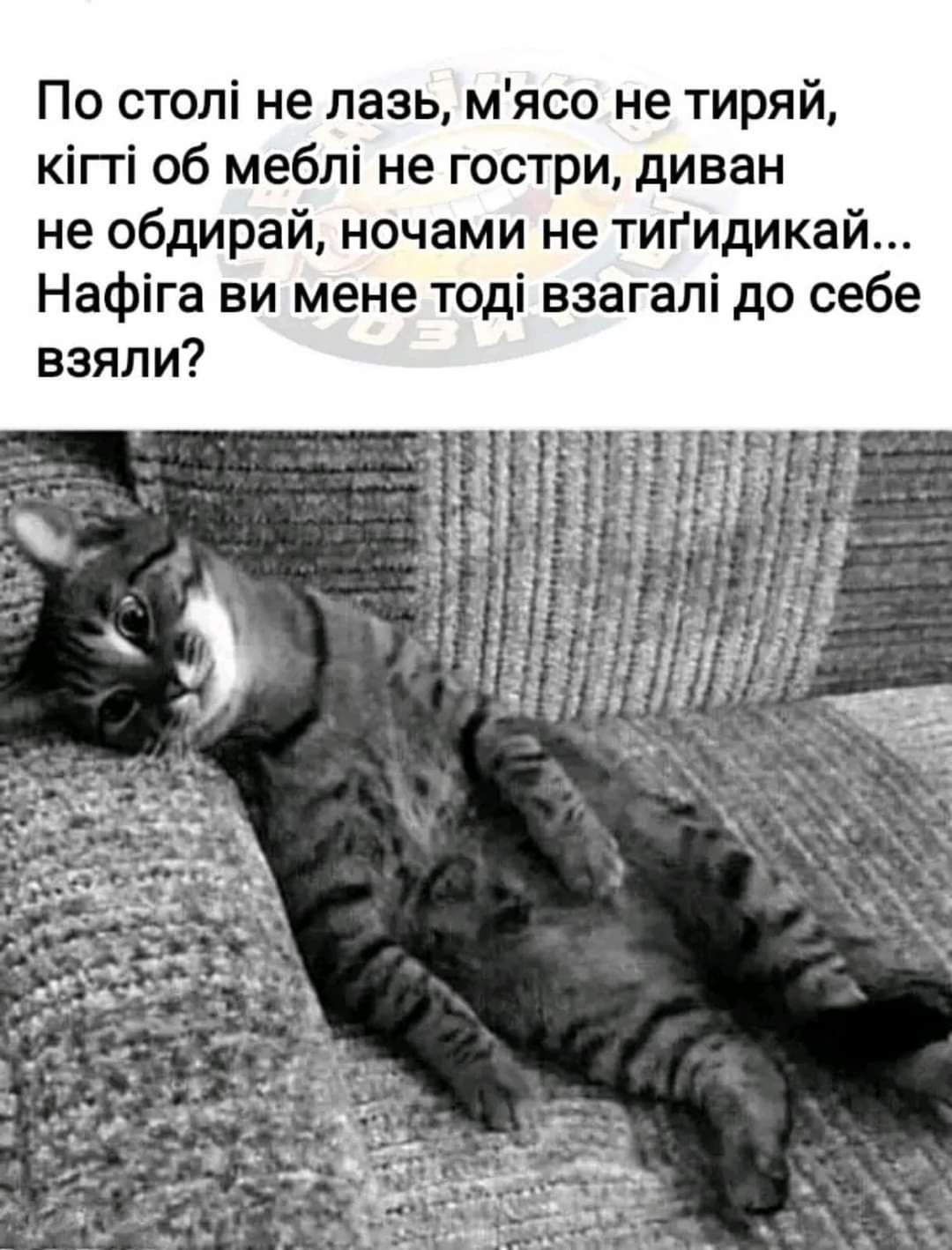 IMG-5aaa30ada0bbd8f8b4aece97f0bd73b4-V.jpg