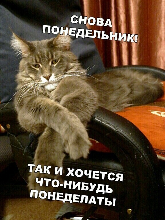 IMG-5b43df9d2dbdfd6578d4b01ff8e0558b-V.jpg