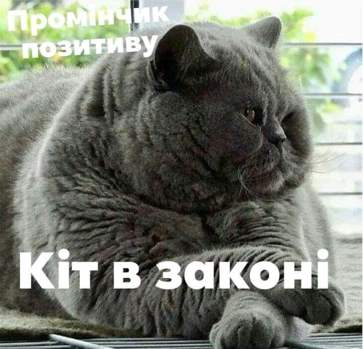 IMG-60cff83eacecdfba78adcdfeecd10d06-V.jpg