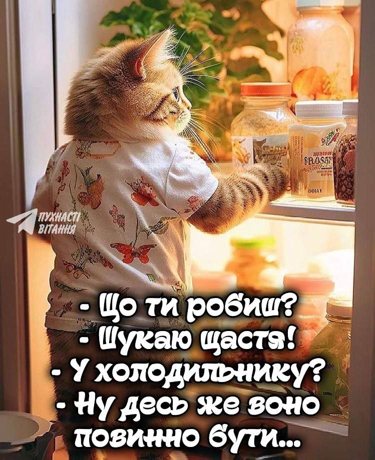IMG-68380323b61813b4c14b60d1dc6da97b-V.jpg